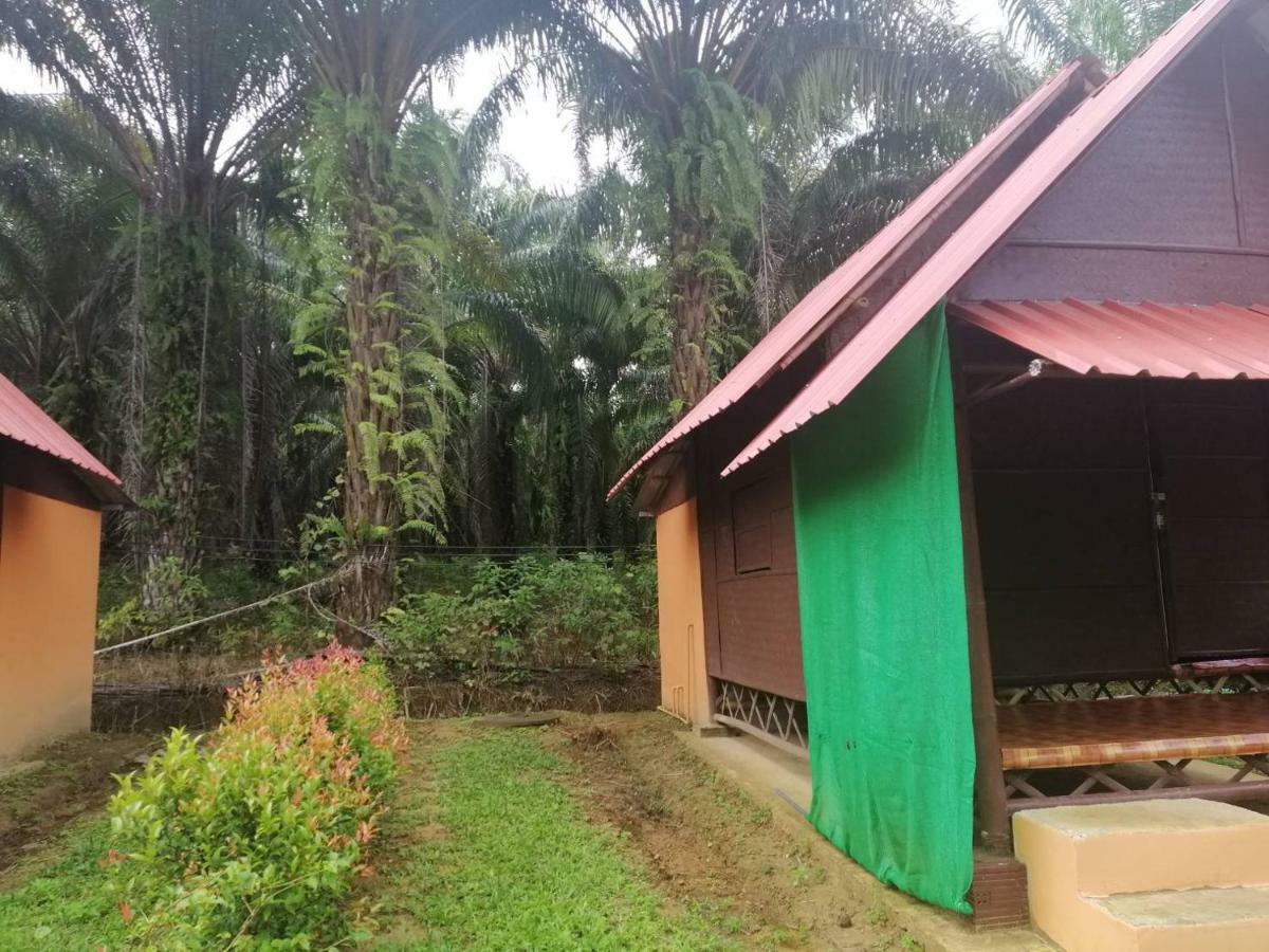 Khao Sok Evergreen House Khao Sok National Park Exterior foto