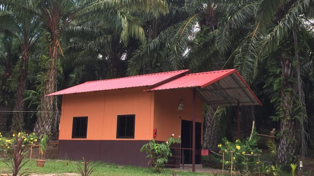 Khao Sok Evergreen House Khao Sok National Park Exterior foto